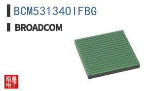 BCM53134OIFBG