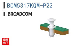 BCM5317KQM-P22