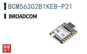 BCM56302B1KEB-P21