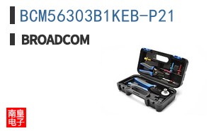 BCM56303B1KEB-P21