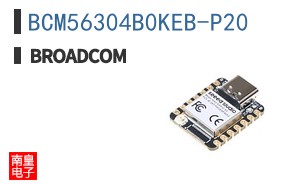 BCM56304B0KEB-P20