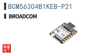 BCM56304B1KEB-P21