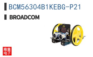 BCM56304B1KEBG-P21