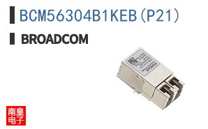 BCM56304B1KEB(P21)