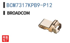BCM7317KPB9-P12