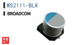 WS2111-BLK